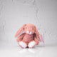 Plush Soft Teddy Bear Dusty Pink - Olive and Fig Hampers and Flowers